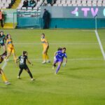 DE ÚLTIMO MINUTO TIGRES LE SACA EL EMPATE LAS FIERAS